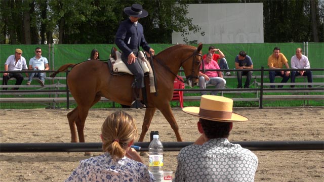 Feria del Caballo Camponaraya