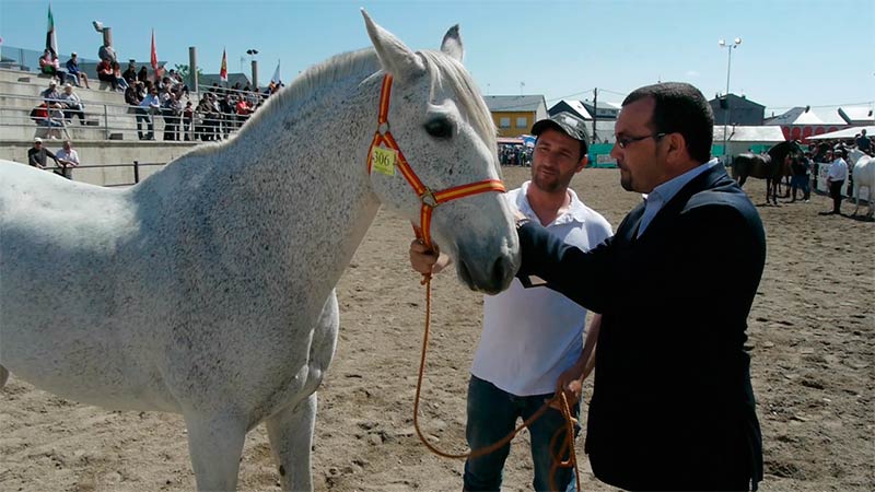 XVII Feria del Caballo Camponaraya