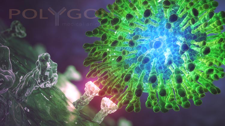 virus hepatitis c-polygonal animations