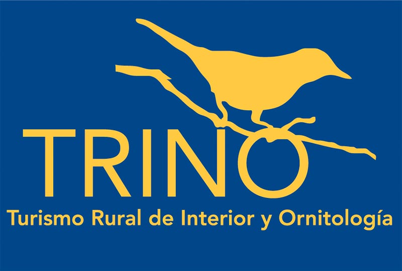 Proyecto Trino