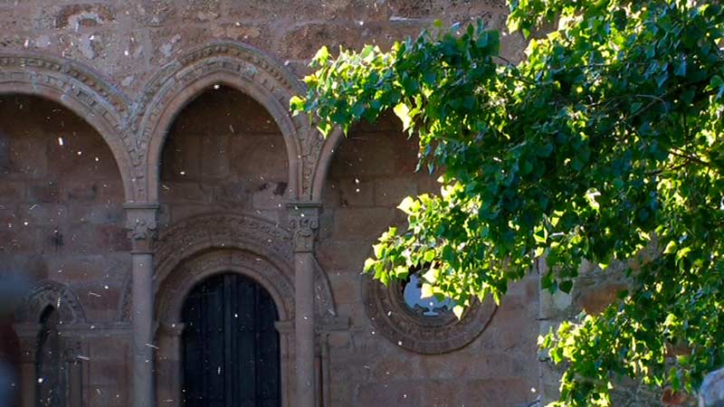 Monasterio de Carracedo