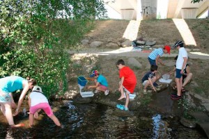 Campamento verano