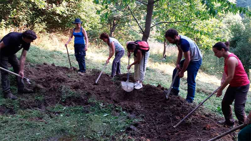 Voluntariado TYto Alba