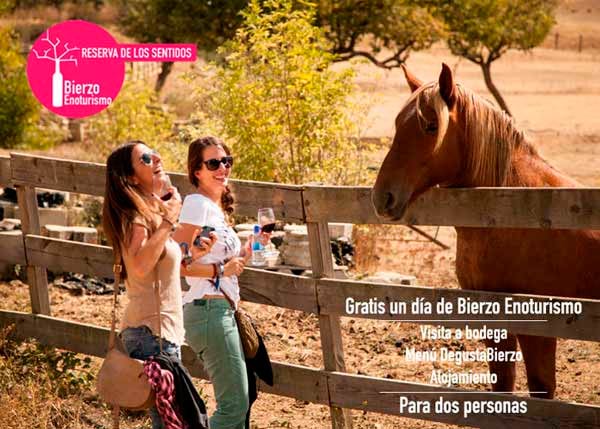 Concurso Bierzo Enoturismo