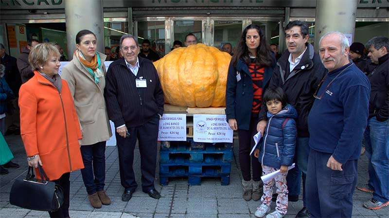 Calabaza gigante de Miguel Yuma