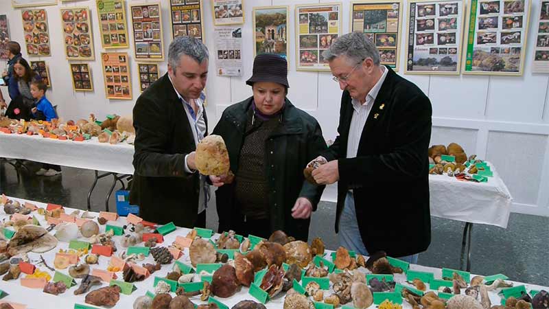 Jornadas Gastronómicas