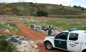 Delito contra el medio ambiente