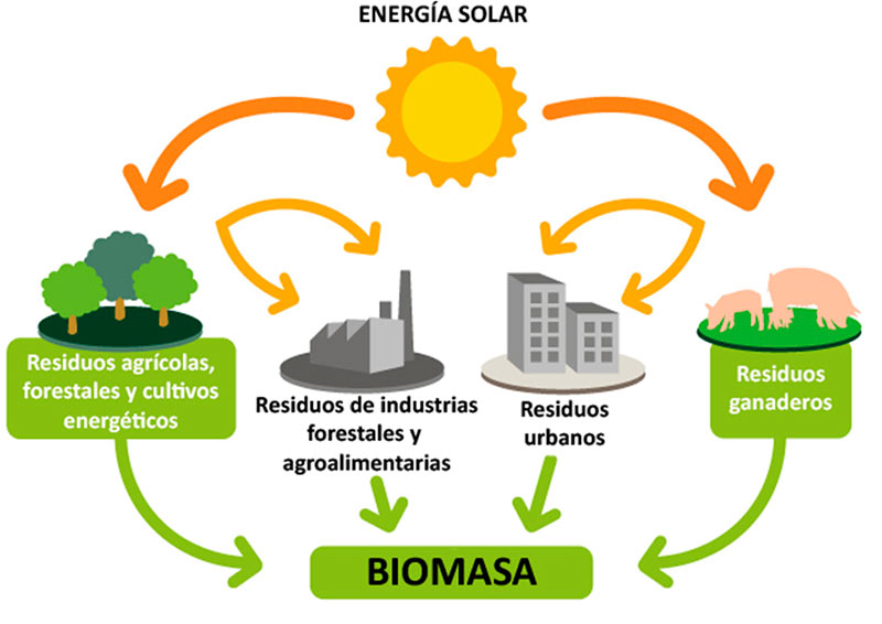 Generación de biomasa