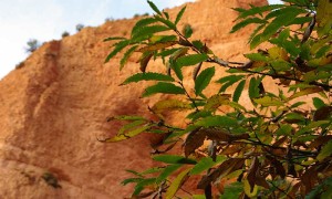 Las Médulas