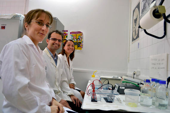 Investigadores de la Universidad de Cádiz