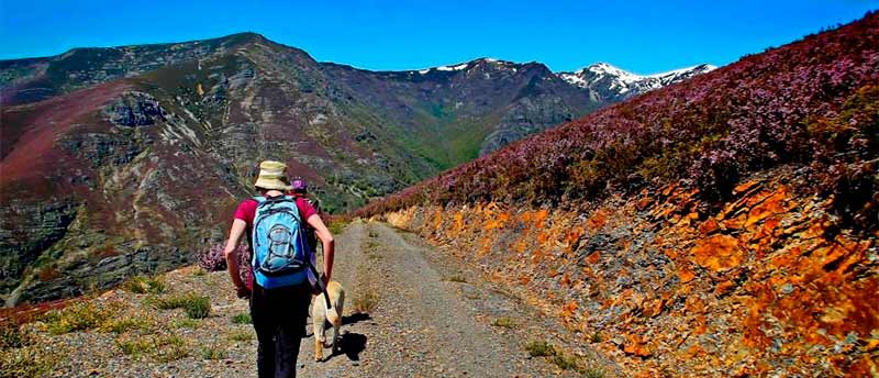 Rutas y senderos de la RBALE