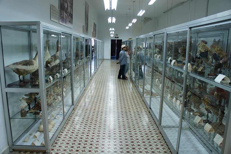 Museo de Ciencias de los Padres Paúles-Villafranca del Bierzo