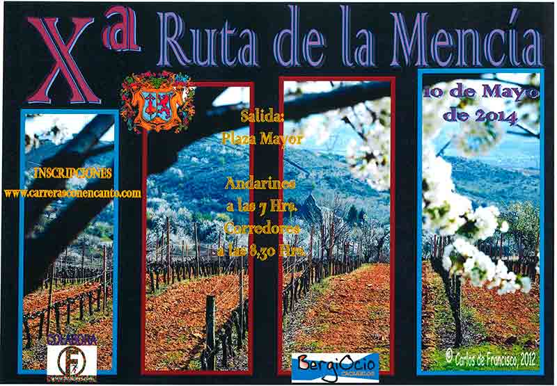 Ruta de la Mencía