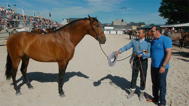 Feria del Caballo de Camponaraya