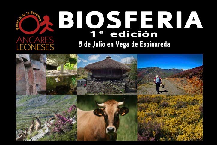 feria-reserva-biosfera-vega-espinareda
