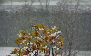 Nevada en Ponferrada. Foto: Raúl C.