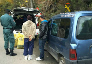 hurto-castanas-guardia-civil