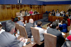 Pleno del 27 de noviembre de 2015. Foto: Raúl C.