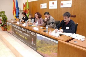 Inauguración del XI Encuentro del Día Internacional de los Bosques. Foto: Raúl C.