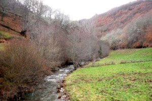 Río Barjas. Foto: Ecobierzo