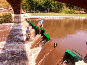 Río Burbia a su paso por la Playa Fluvial de Vilalfranca del Bierzo.