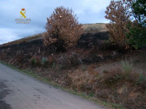 incendios-corullon