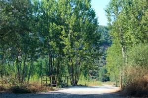 caminos-rurales-carracedelo-reparacion