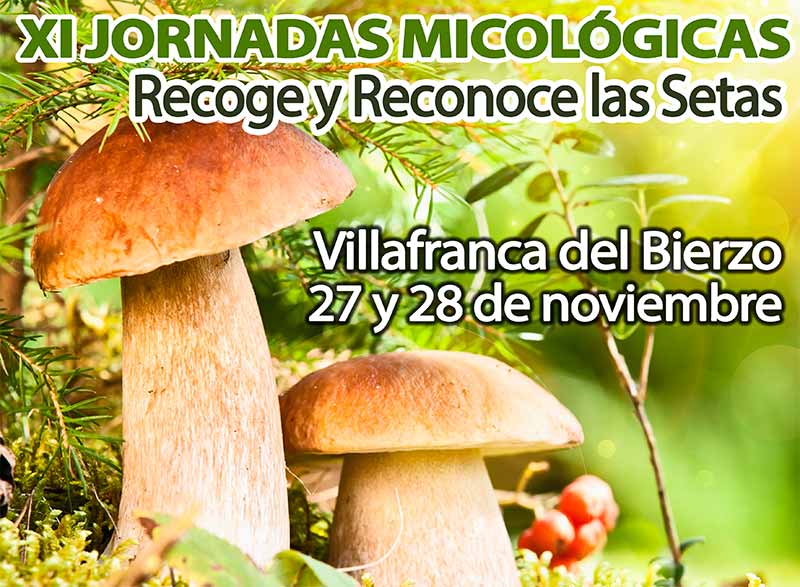 jornadas-micologicas-villafranca